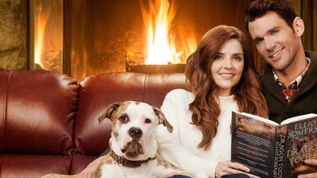 Любовна история през зимата (синхронен екип, дублаж по Нова телевизия на 23.02.2020 г.) (запис)