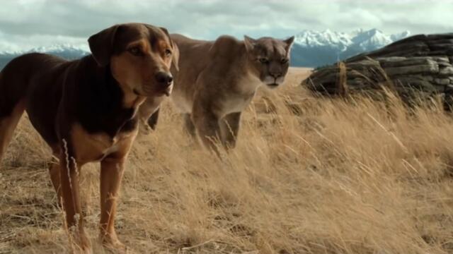 Пътят към дома (синхронен екип 2, нов дублаж по Нова телевизия на 30.12.2023 г.) (запис)