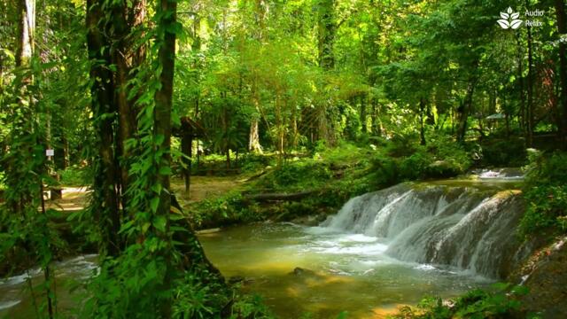Unwind and Rejuvenate: 10 Hours of Calming Nature Sounds, Beautiful Waterfall in Forest