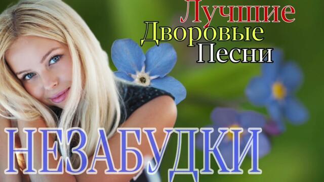 🎶Незабудки🎶 / Песни Старых дворов #дворовыепесни #песнистарыхдворов