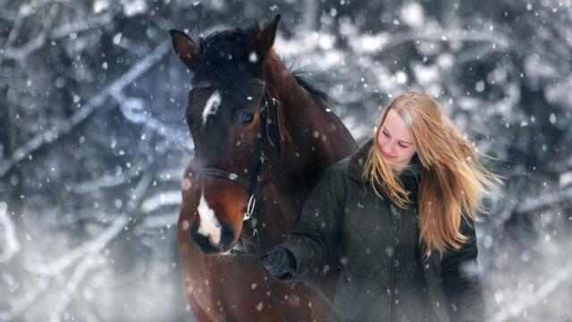 Самая красивая мелодия на свете! Эту музыку можно слушать вечно! Красивая музыка Сергей Грищук