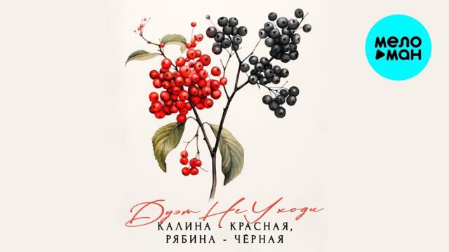 Дуэт Не уходи – Калина-красная, рябина-чёрная