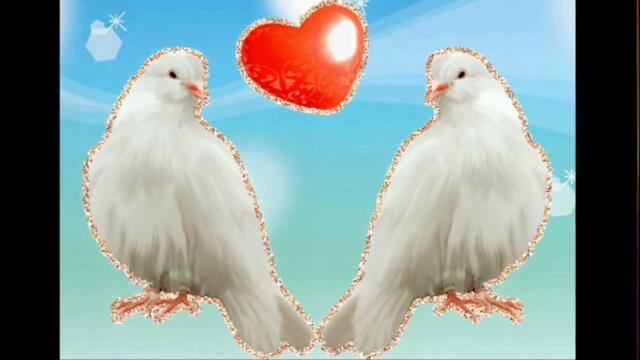 Сергей Шанс   -   Голубка