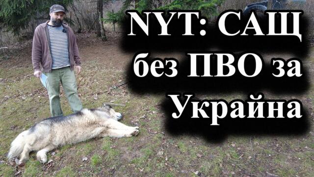 NYT: САЩ без ПВО за Украйна - А. Сивилов