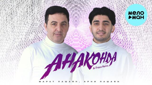 Марат Пашаян, Арни Пашаян - АНАКОНДА
