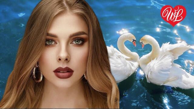 Алексей Новиков   -  ЛЕБЕДИ ♥ ЦЫГАНСКИЙ РОМАНС  РОМАЛЭ