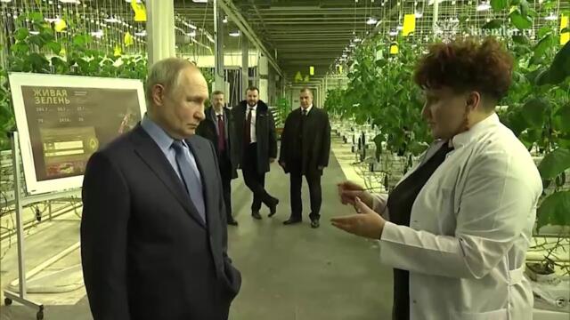 Путину на Чукотке дали понюхать базилик