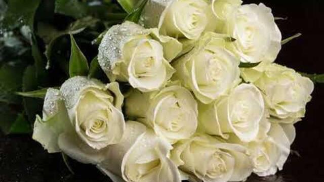 Ян Райбург    -     Дарите женщинам цветы..