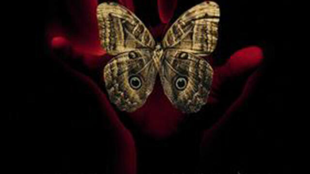 Скок във времето (синхронен екип, дублаж по Диема Екстра на 30.04.2007 г.) (запис)