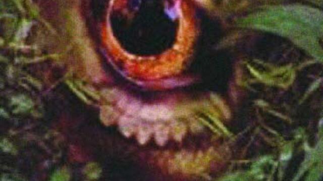 Проклятието на Комодо (синхронен екип, дублаж по Диема+ на 13.05.2005 г.) (запис)