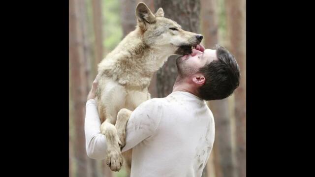 В. Фадеев   -    Ушла любя