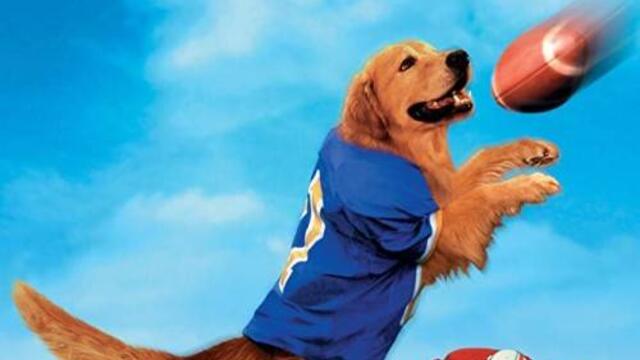 Въздушният Бъд: Златната купа (синхронен екип, дублаж по Нова телевизия на 07.10.2017 г.) (запис)