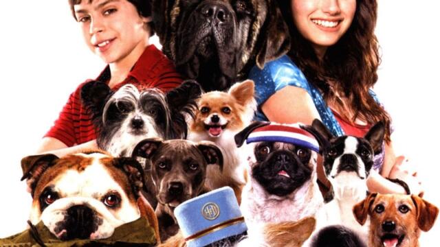 Хотел за кучета (синхронен екип 2, втори дублаж на студио Медиа Линк, 03.06.2017 г.) (запис)