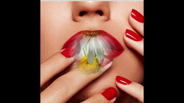 Сергей Одинцов  -   Белые ромашки