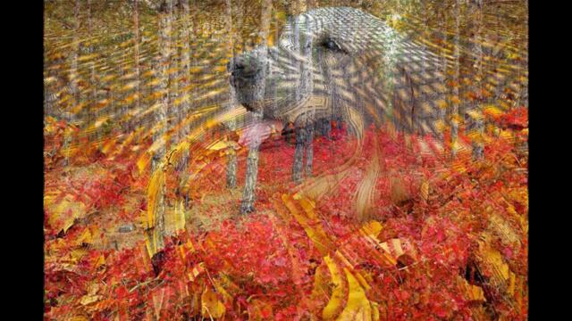 Танец желтых листьев