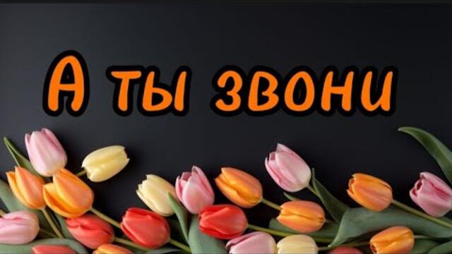 Виктор Могилатов     -     А ты звони.