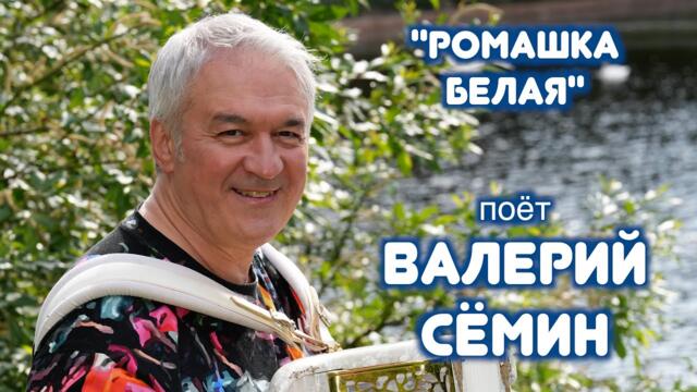 Валерий Сёмин  ❤️  "РОМАШКА БЕЛАЯ"   Валерий Сёмин ❤️