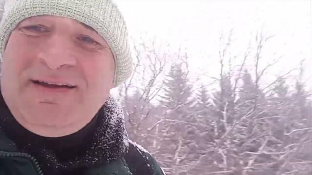 Планината на Алеко - неизползваният дъжд от злато, за да станем богати и проспериращи...