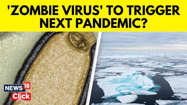 'Zombie' Virus Which Spent 48,500 Years Frozen In Arctic Could Spark Deadly Pandemic | N18V