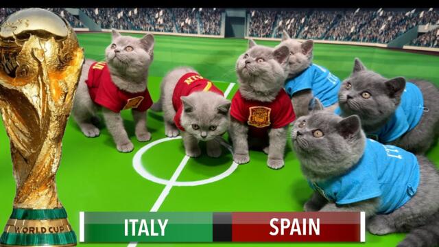 LETS UNLEASH CATS KITTENS WORLD CUP!