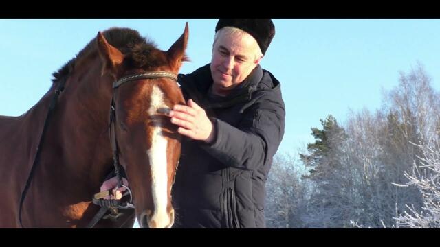 Ансамбль "РОДНИК"   -     ПРОЕЗЖАЛА КОННИЦА