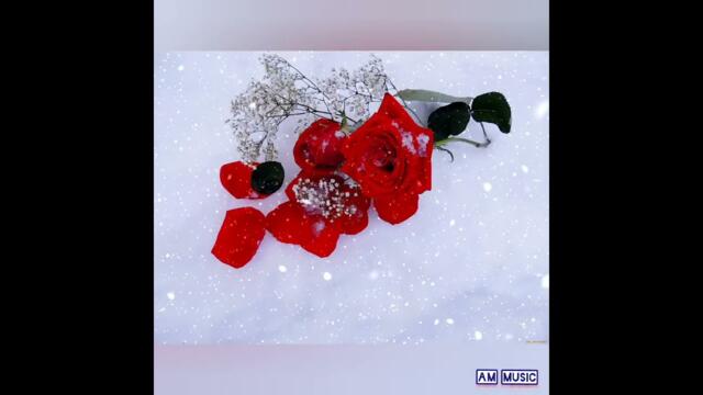 Анар Махмудов     -    Снег на розах - Кавер Версия