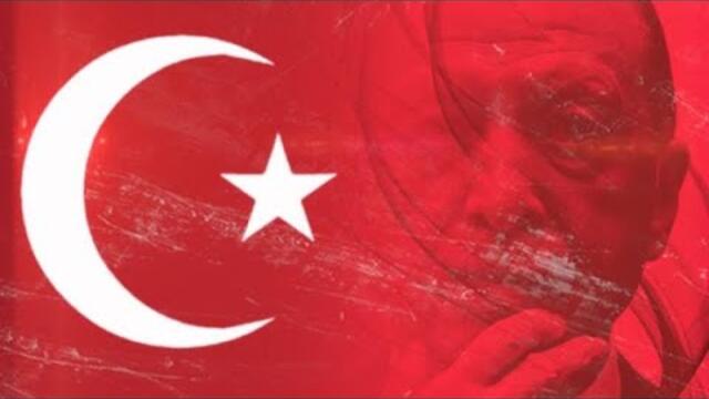 Швеция в НАТО: Какво загуби и спечели Ердоган