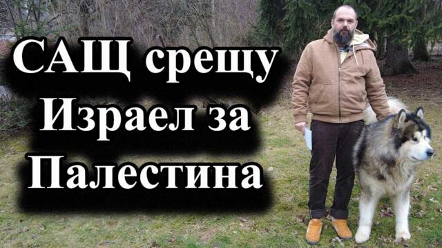 САЩ срещу Израел за Палестина - А. Сивилов