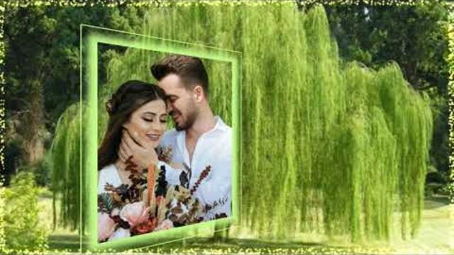 ГОРЬКО ПЛАКАЛА ИВА !