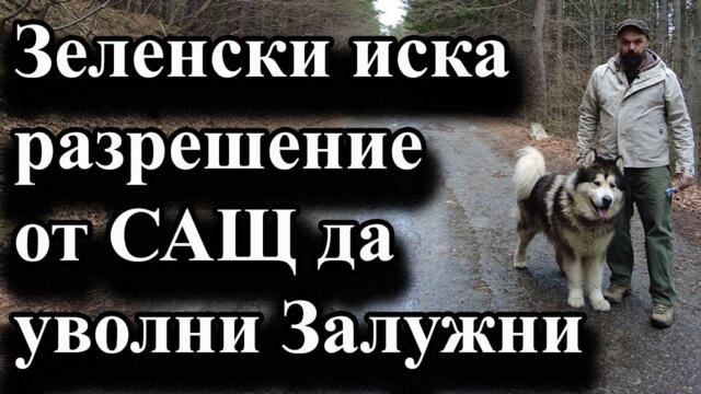 Зеленски иска разрешение от САЩ да уволни Залужни - А. Сивилов
