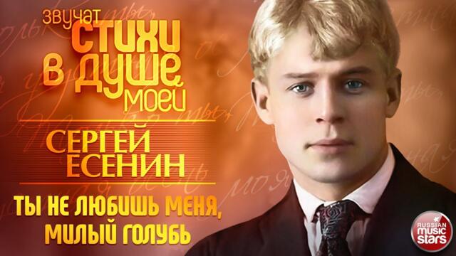 АЛЕКСАНДР МАЛИНИН ❀ ТЫ НЕ ЛЮБИШЬ МЕНЯ, МИЛЫЙ ГОЛУБЬ ❀ СЕРГЕЙ ЕСЕНИН ❀ ЗВУЧАТ СТИХИ В ДУШЕ МОЕЙ ❀