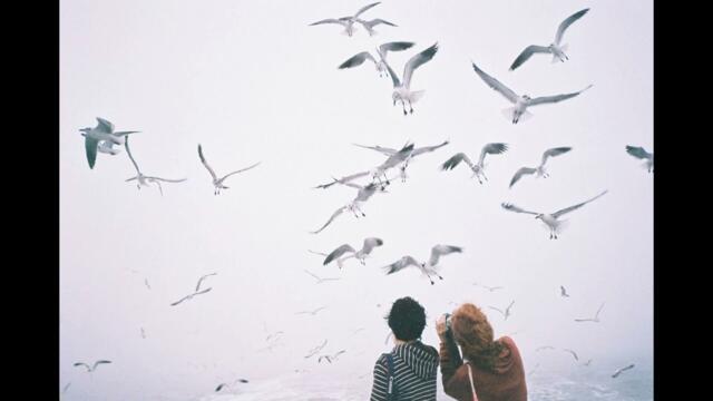 Грустит кленовая листва.