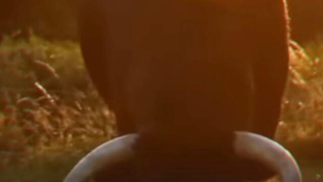 Quand Booba reprend Cabrel ! ✨