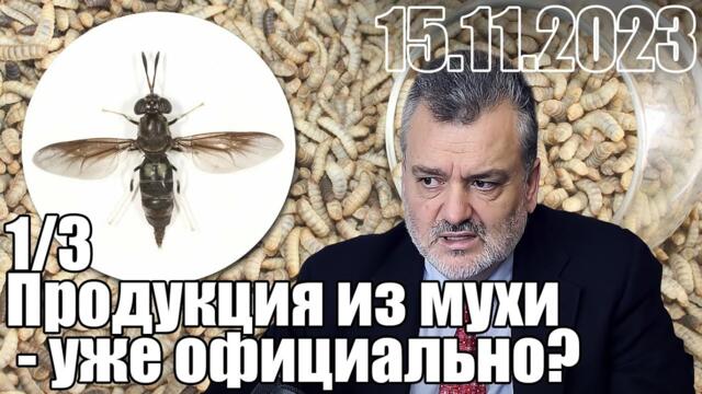 Ще се храним с продукти от мухи - Продукция из мухи черная львинка - уже официально?