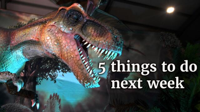 Five things to do next week (12-18 Feb 2024)