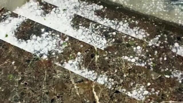 WhatsApp Video 2024-02-12 at 12.09.30