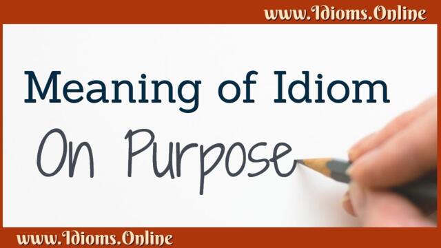 On Purpose Idiom Meaning