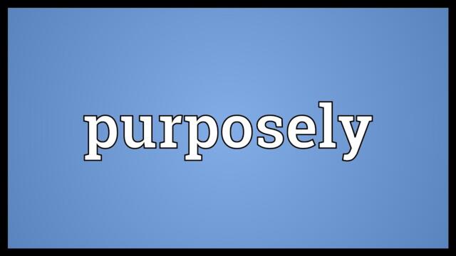 Purposely Meaning