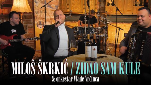 Milos Skrkic  - Zidao sam kule (Cover 2024)