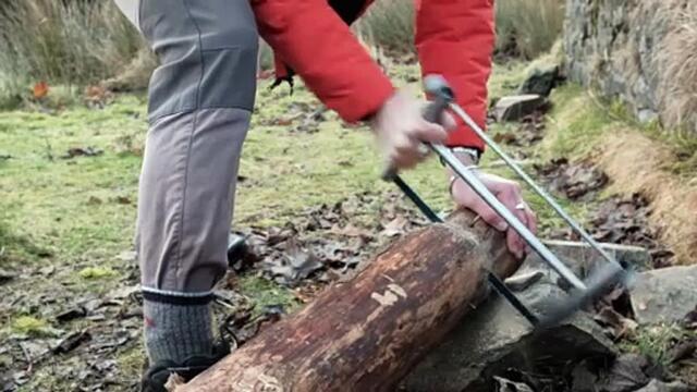 The Scotsman Sessions #399: Last Boy