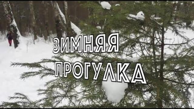 Зимняя Прогулка под Замечательную Мелодию Сергея Чекалина!