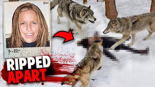 The HORRIFYING Last Minutes of Candice Berner Eaten Alive By Wolf Pack!