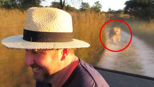 30 Times African Safari Trips Went Horribly Wrong