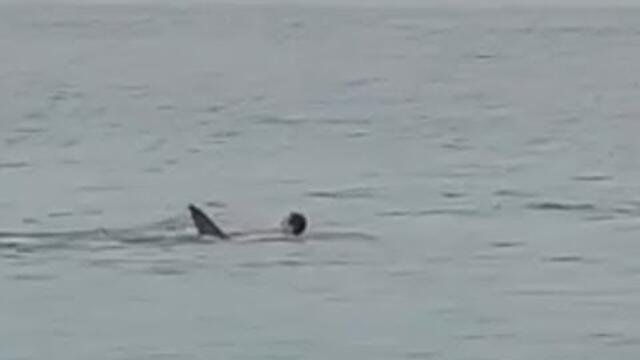 Most dramatic fatal shark attack ever caught on cam. full video (viewers discretion is advised)