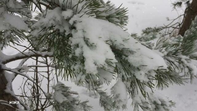 Зимняя Рапсодия со Сборником Музыки  С. Аверьянова!