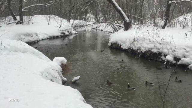 Зимний День под Красивую Мелодию Эдгара Туниянца!