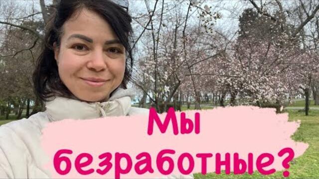 Жизнь в Болгарии|Первый рабочий день|Запеченные кабачки с белым соусом #vlogs