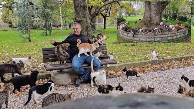 The most loyal friends in the world who will always make you happy are Istanbul Stray Cats.