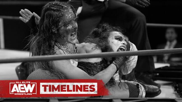 STREET FIGHT! A look back at some of the best fights from the AEW Women's Division! | AEW Timelines