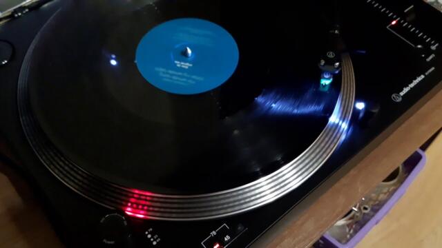 DJ Aligator - the whistle song (vinyl)